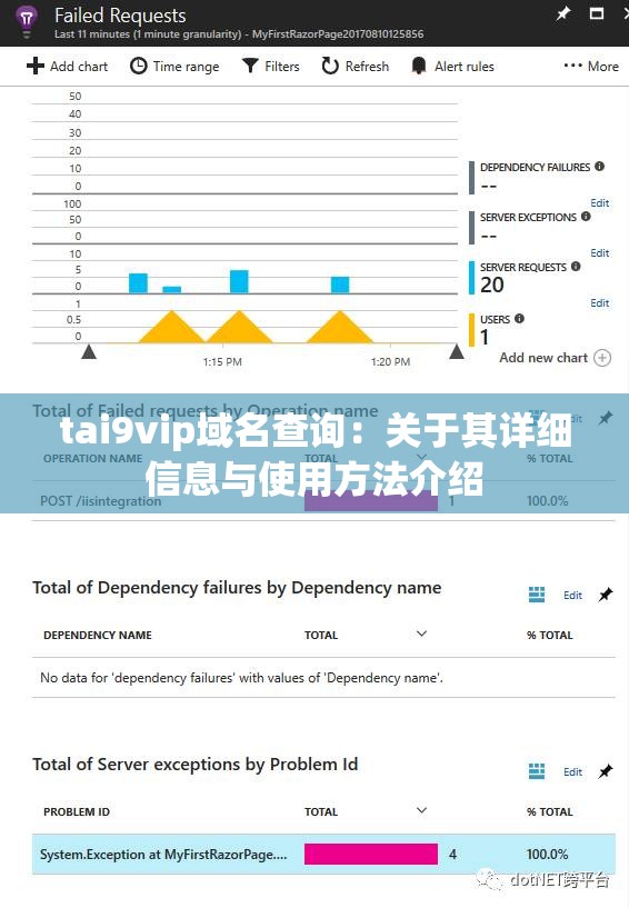 tai9vip域名查询：关于其详细信息与使用方法介绍