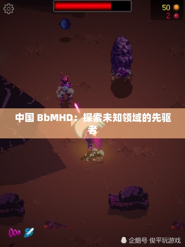 中国 BbMHD：探索未知领域的先驱者
