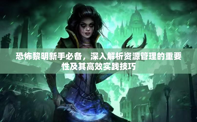 恐怖黎明新手必备，深入解析资源管理的重要性及其高效实践技巧