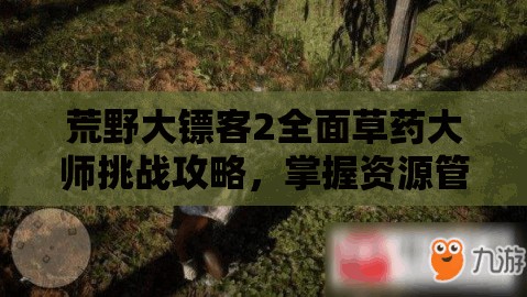 荒野大镖客2全面草药大师挑战攻略，掌握资源管理技巧，开启全新游戏境界