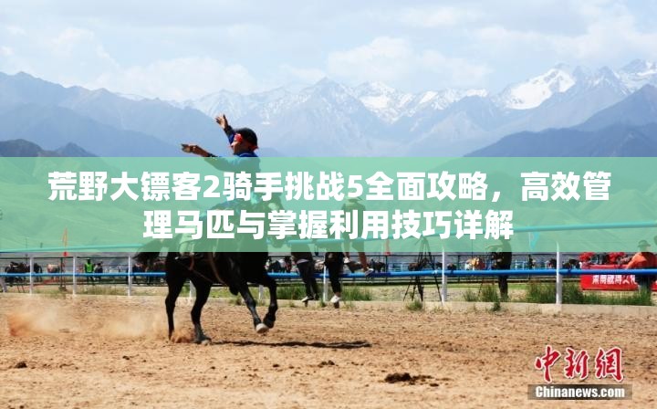 荒野大镖客2骑手挑战5全面攻略，高效管理马匹与掌握利用技巧详解