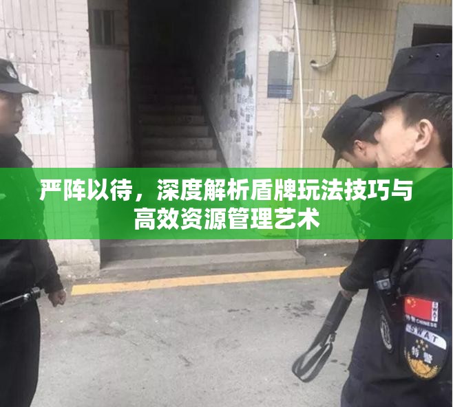 严阵以待，深度解析盾牌玩法技巧与高效资源管理艺术