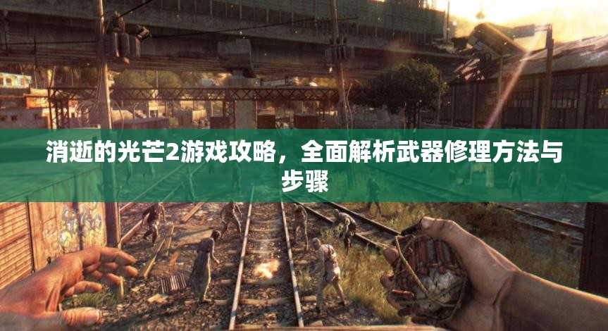 消逝的光芒2游戏攻略，全面解析武器修理方法与步骤
