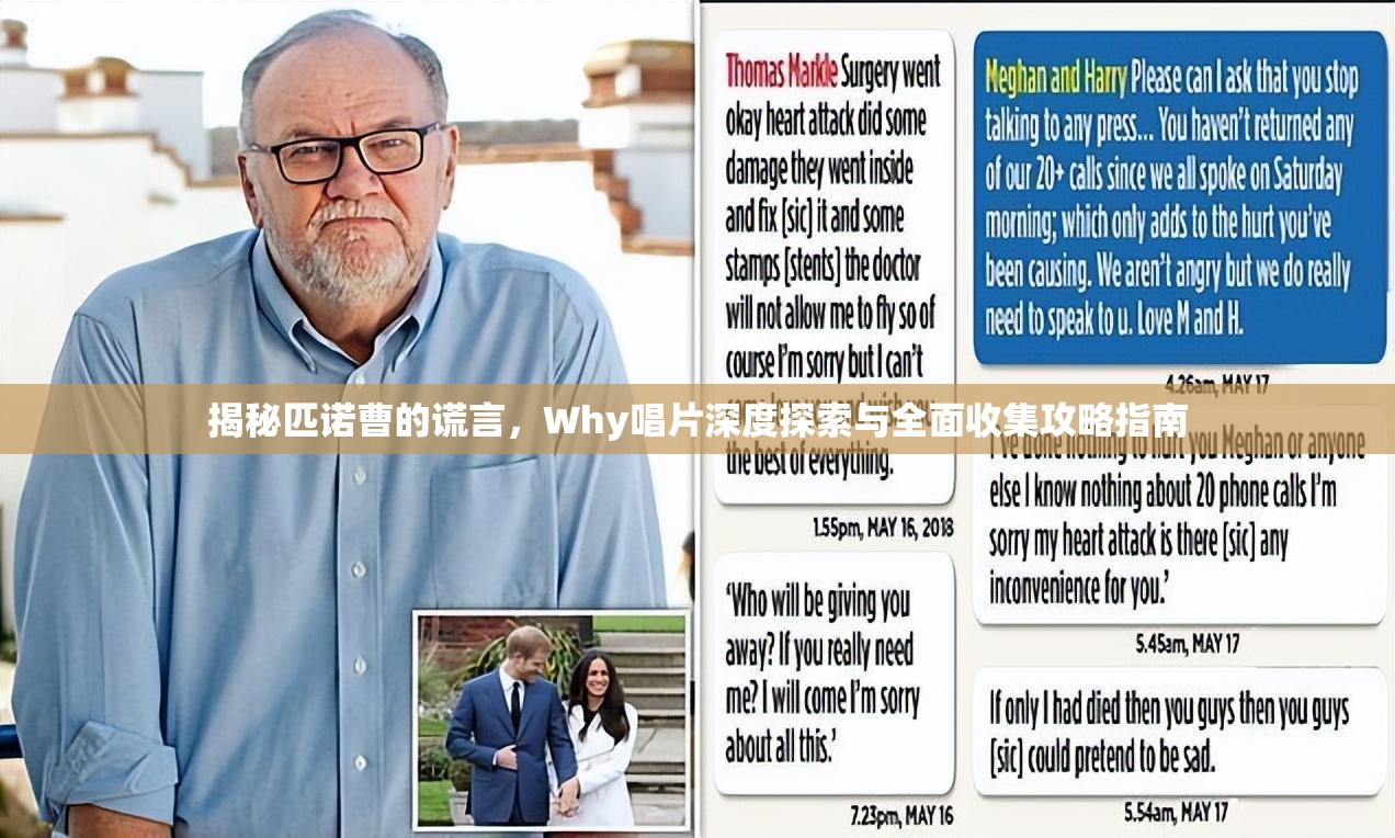 揭秘匹诺曹的谎言，Why唱片深度探索与全面收集攻略指南