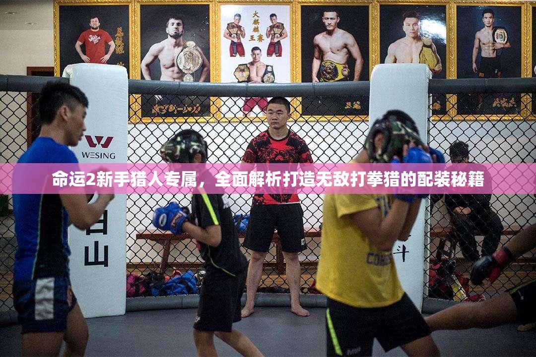 命运2新手猎人专属，全面解析打造无敌打拳猎的配装秘籍