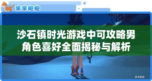 沙石镇时光游戏中可攻略男角色喜好全面揭秘与解析