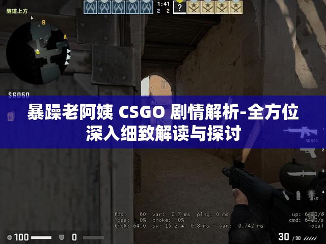 暴躁老阿姨 CSGO 剧情解析-全方位深入细致解读与探讨