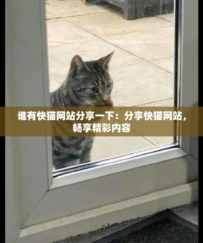 谁有快猫网站分享一下：分享快猫网站，畅享精彩内容
