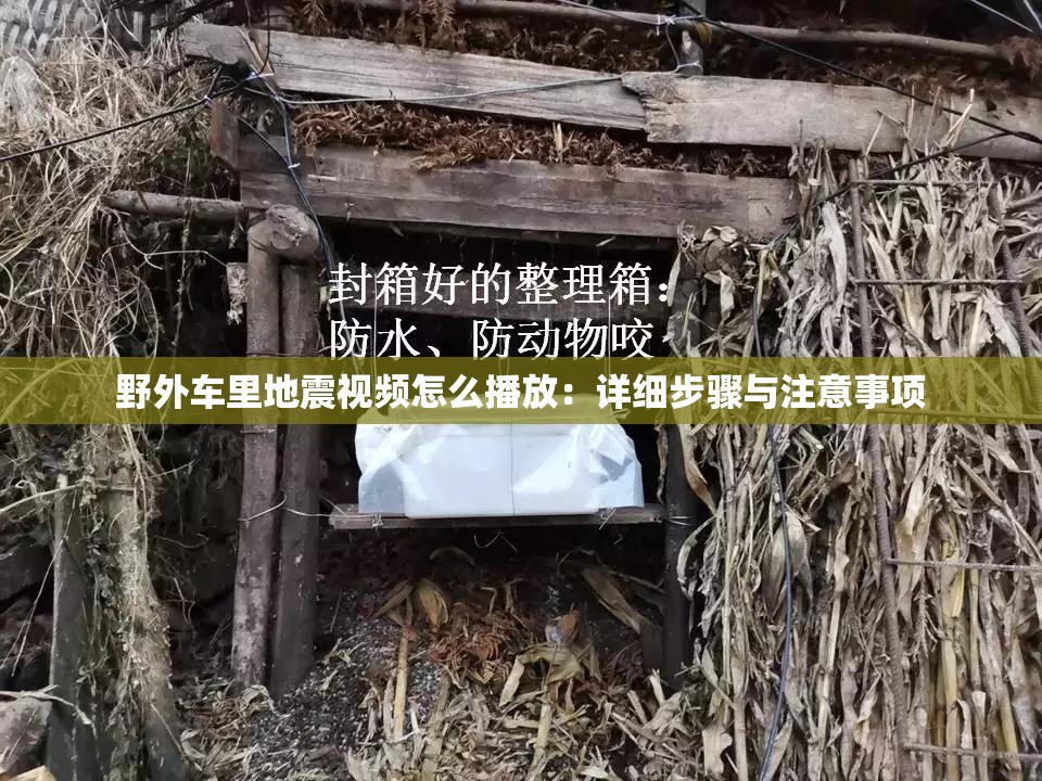 野外车里地震视频怎么播放：详细步骤与注意事项