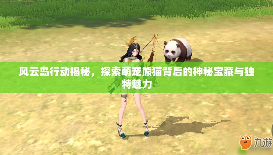 风云岛行动揭秘，探索萌宠熊猫背后的神秘宝藏与独特魅力