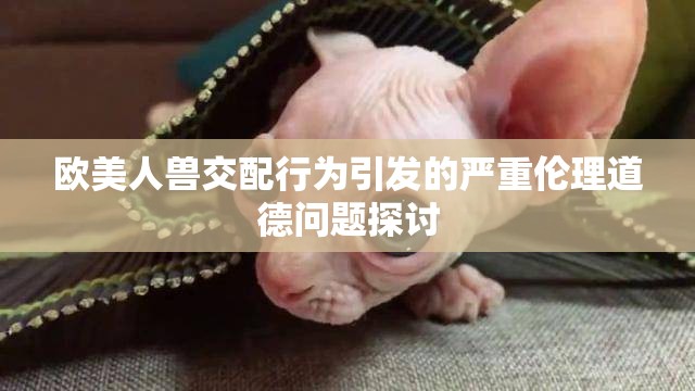 欧美人兽交配行为引发的严重伦理道德问题探讨