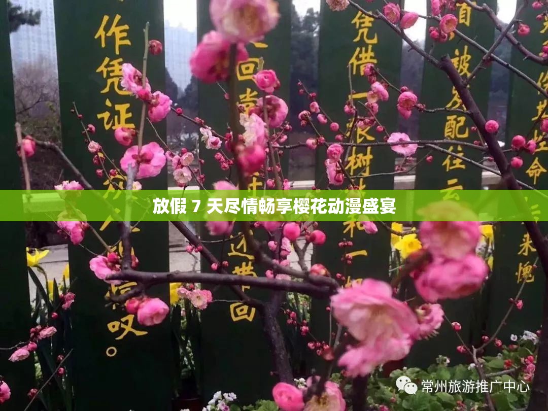 放假 7 天尽情畅享樱花动漫盛宴