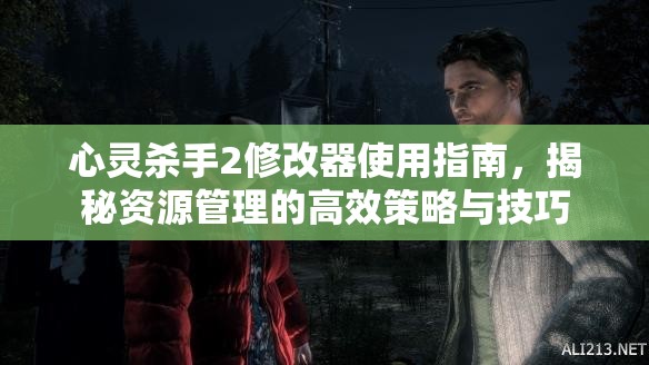 心灵杀手2修改器使用指南，揭秘资源管理的高效策略与技巧