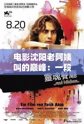 电影沈阳老阿姨叫的巅峰：一段触动心灵的光影传奇