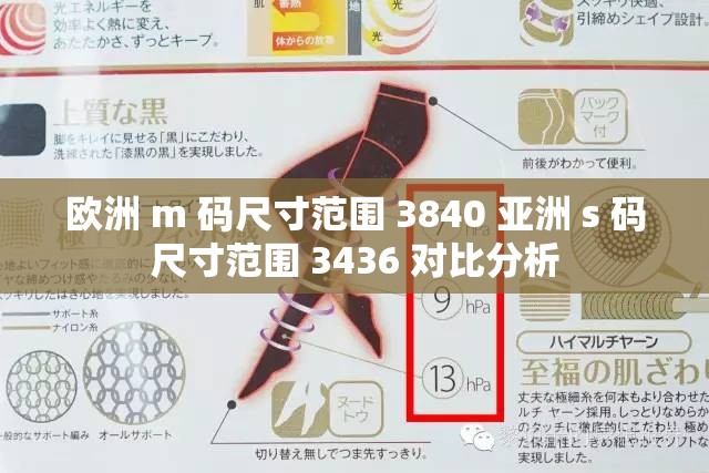 欧洲 m 码尺寸范围 3840 亚洲 s 码尺寸范围 3436 对比分析