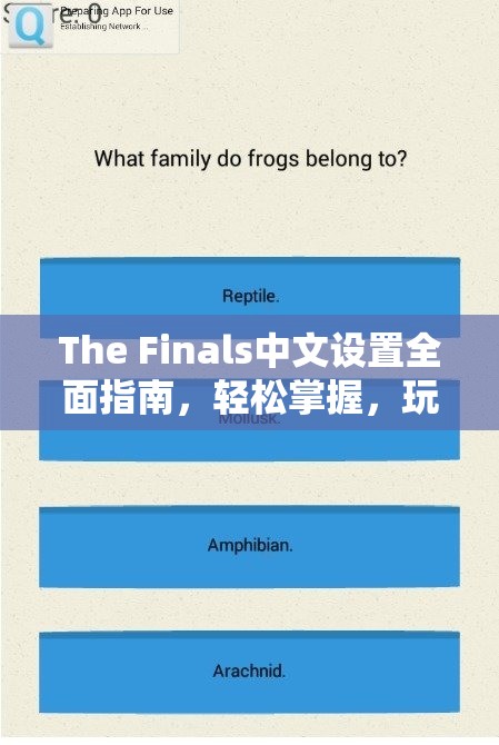 The Finals中文设置全面指南，轻松掌握，玩转国际版游戏无障碍