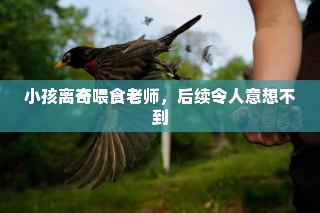 小孩离奇喂食老师，后续令人意想不到