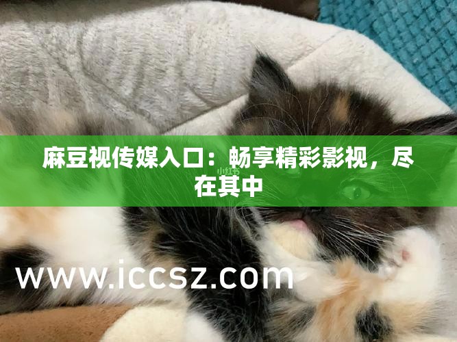 麻豆视传媒入口：畅享精彩影视，尽在其中