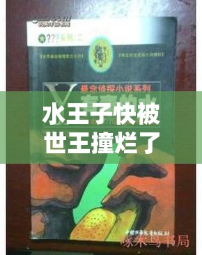 水王子快被世王撞烂了：一部颠覆想象的原著小说