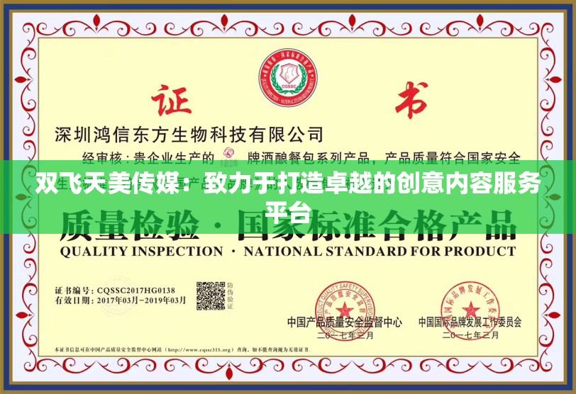 双飞天美传媒：致力于打造卓越的创意内容服务平台