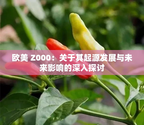 欧美 Z000：关于其起源发展与未来影响的深入探讨