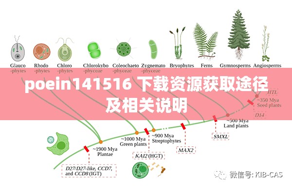 poein141516 下载资源获取途径及相关说明