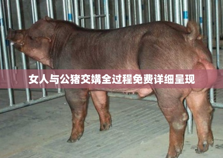 女人与公猪交媾全过程免费详细呈现