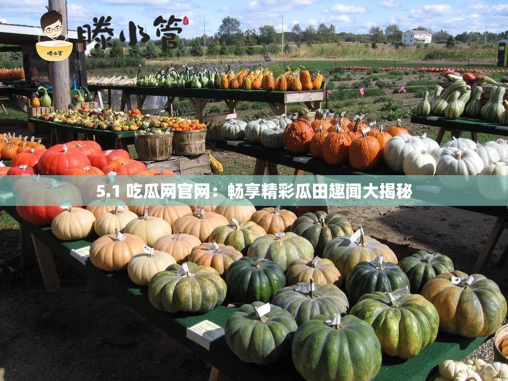 5.1 吃瓜网官网：畅享精彩瓜田趣闻大揭秘