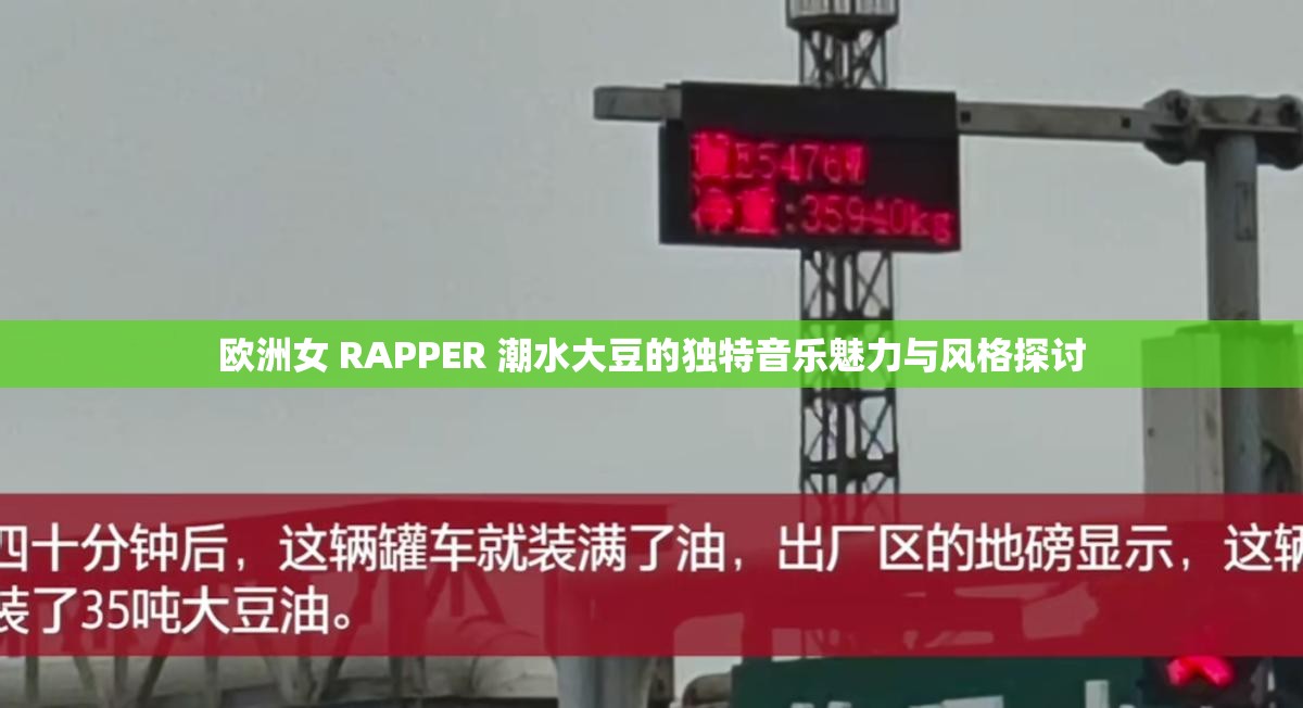 欧洲女 RAPPER 潮水大豆的独特音乐魅力与风格探讨