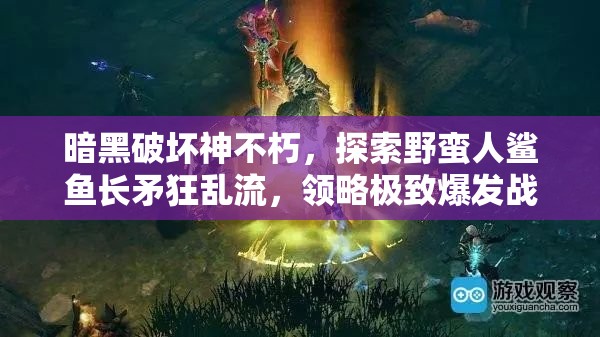 暗黑破坏神不朽，探索野蛮人鲨鱼长矛狂乱流，领略极致爆发战斗艺术的奥秘