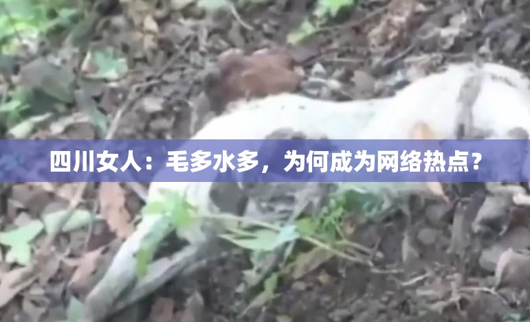 四川女人：毛多水多，为何成为网络热点？