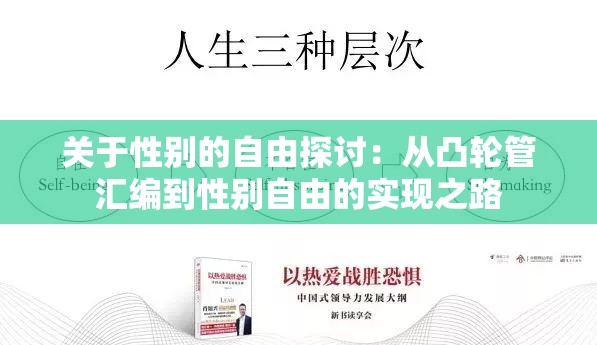 关于性别的自由探讨：从凸轮管汇编到性别自由的实现之路