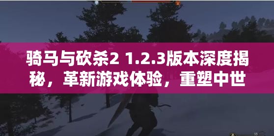 骑马与砍杀2 1.2.3版本深度揭秘，革新游戏体验，重塑中世纪战场战斗风貌