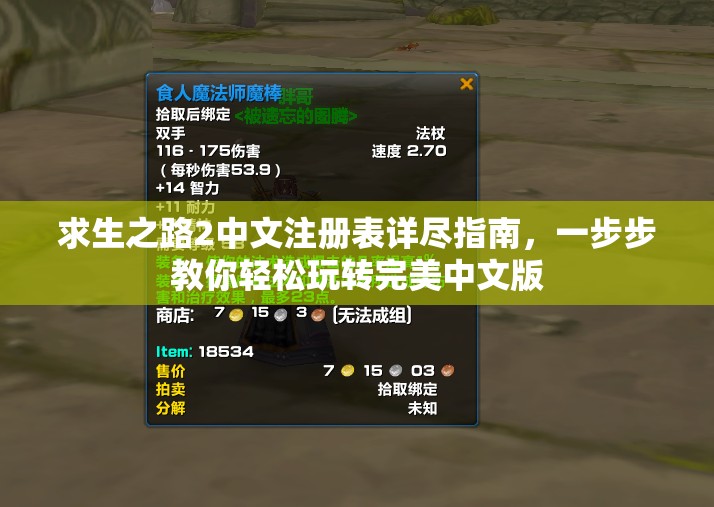 求生之路2中文注册表详尽指南，一步步教你轻松玩转完美中文版