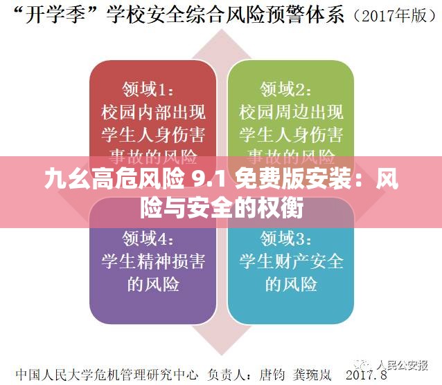 九幺高危风险 9.1 免费版安装：风险与安全的权衡