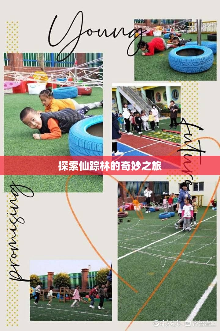 探索仙踪林的奇妙之旅