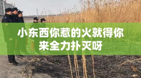 小东西你惹的火就得你来全力扑灭呀
