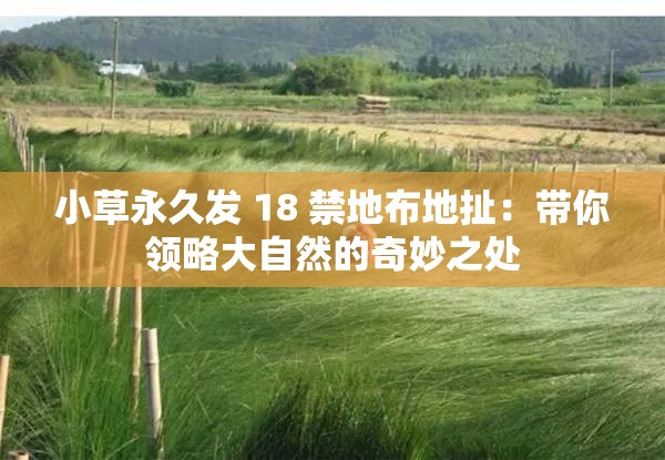 小草永久发 18 禁地布地扯：带你领略大自然的奇妙之处