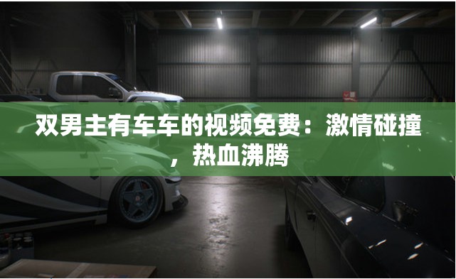 双男主有车车的视频免费：激情碰撞，热血沸腾