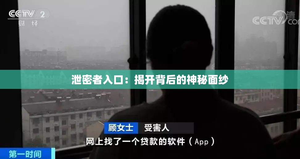 泄密者入口：揭开背后的神秘面纱