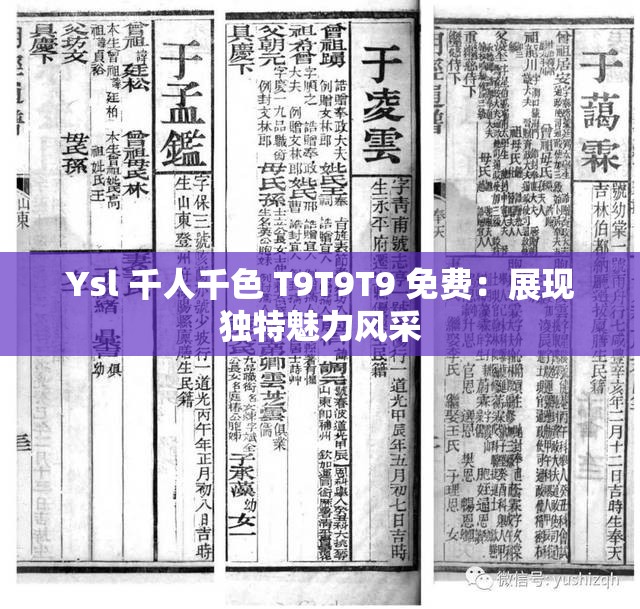 Ysl 千人千色 T9T9T9 免费：展现独特魅力风采