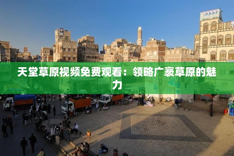 天堂草原视频免费观看：领略广袤草原的魅力