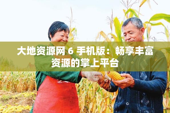 大地资源网 6 手机版：畅享丰富资源的掌上平台