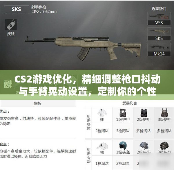 CS2游戏优化，精细调整枪口抖动与手臂晃动设置，定制你的个性化射击游戏体验