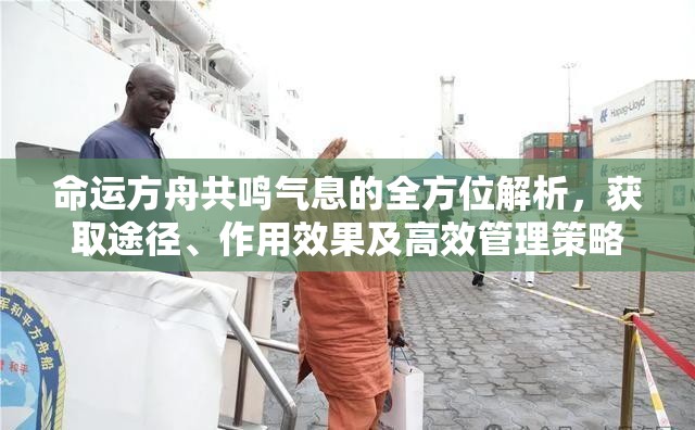 命运方舟共鸣气息的全方位解析，获取途径、作用效果及高效管理策略