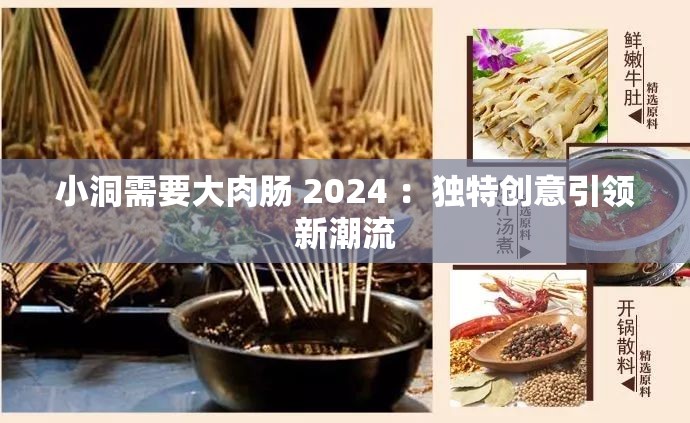 小洞需要大肉肠 2024 ：独特创意引领新潮流