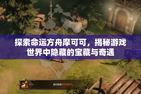 探索命运方舟摩可可，揭秘游戏世界中隐藏的宝藏与奇遇