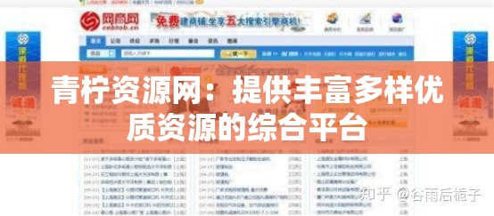 青柠资源网：提供丰富多样优质资源的综合平台