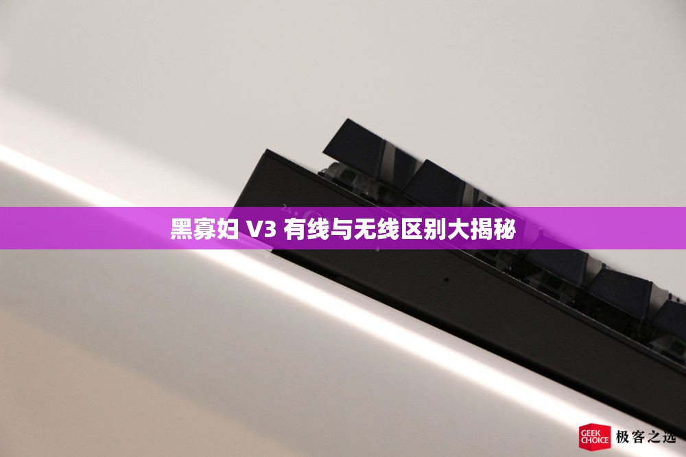 黑寡妇 V3 有线与无线区别大揭秘