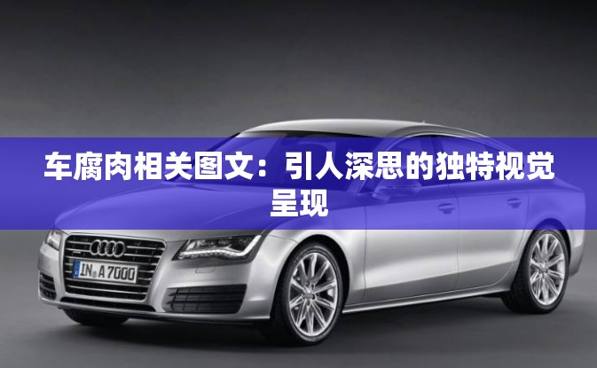 车腐肉相关图文：引人深思的独特视觉呈现